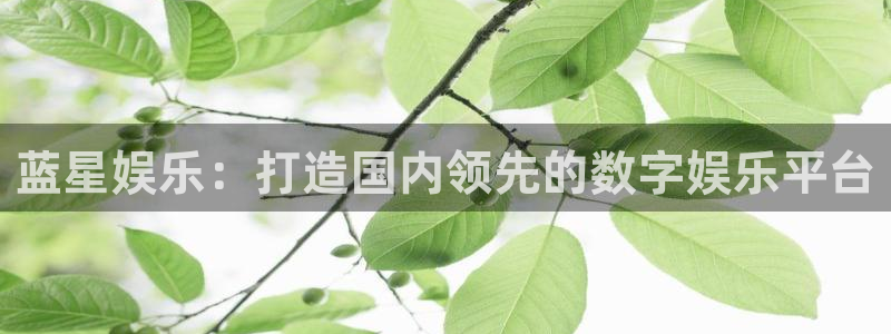 糖果派对：蓝星娱乐：打造国内领先的数字娱乐平台