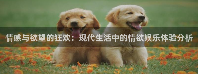 糖果派对免费体验版试玩：情感与欲望的狂欢：现代生活中的情欲娱乐体验分析