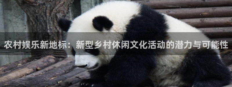 糖果派对最多得过多少分：农村娱乐新地标：新型乡村休闲文化活动的潜力与可能性