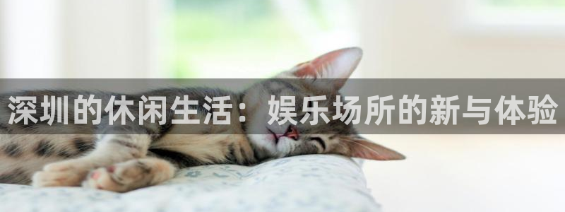 糖果派对电子：深圳的休闲生活：娱乐场所的新与体验