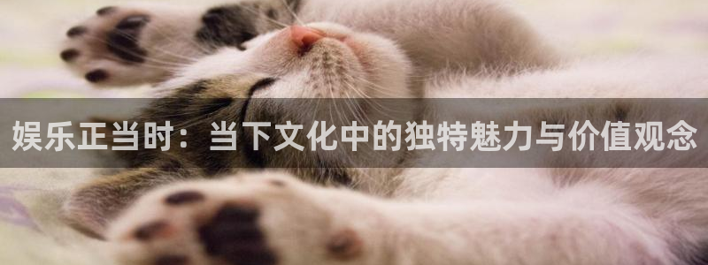 糖果派对图片：娱乐正当时：当下文化中的独特魅力与价值观念